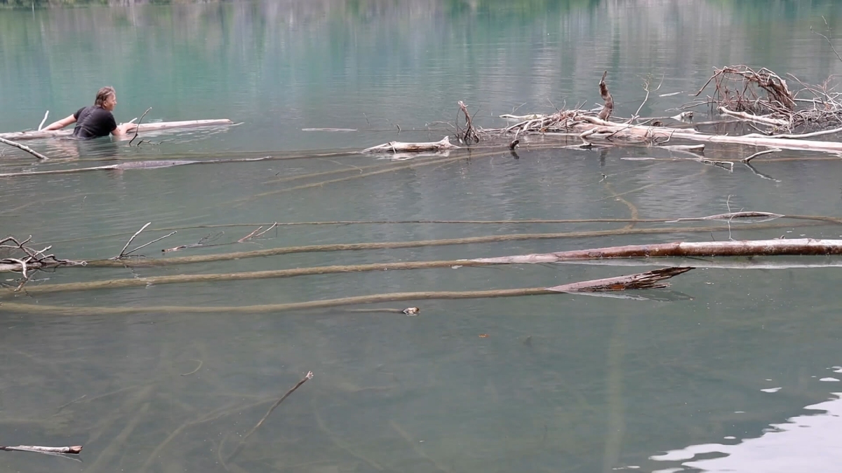 Woman and dead trees in clear fjord water.